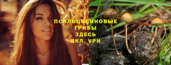 а пвп мука Абдулино