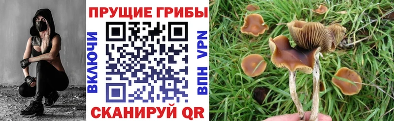 магазин    MEGA зеркало  Псилоцибиновые грибы GOLDEN TEACHER  Ядрин 
